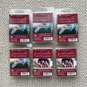 6 x Glistening Pine Scentsationals Wax Melts Cubes for  Warmer Christmas